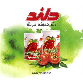 معجون الطعام دلند