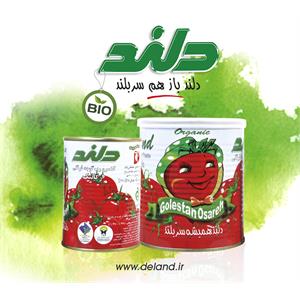 معجون الطعام ارگانيك