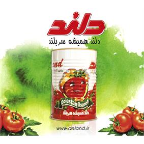 معجون الطعام دلند