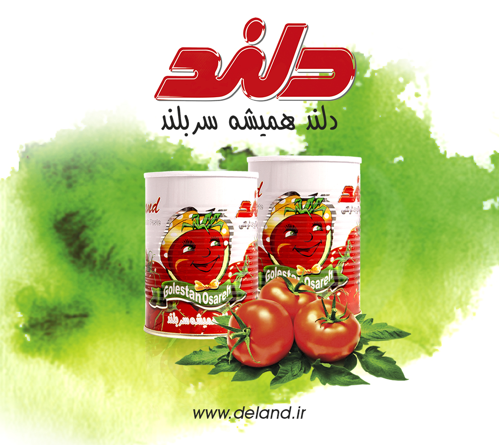 Tomato paste 400gr | Deland Electric